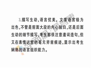 陽(yáng)光校園作文點(diǎn)評(píng)語(yǔ)