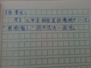 保護校園的樟樹作文怎么寫