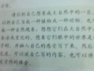 校園欺凌寫一篇作文200字