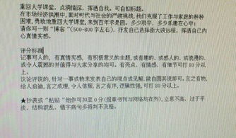 通師附校園布局作文