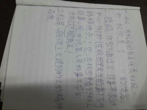 以校園為說明的作文500字