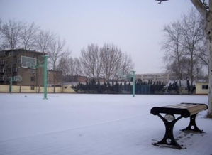 生機勃勃的校園作文400字左右