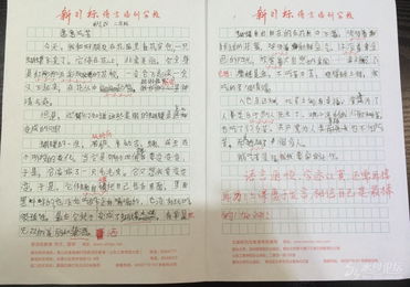 有關新校園的作文高中