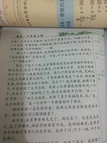 寫校園榆樹的作文400字