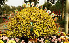 校園一角作文花壇春夏秋冬300字,校園一角作文花壇春夏秋冬550,校園一角作文按照春夏秋冬的順序400字