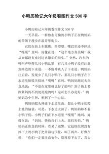 我們的校園小學作文200字