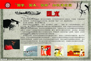 國(guó)粹進(jìn)校園的作文