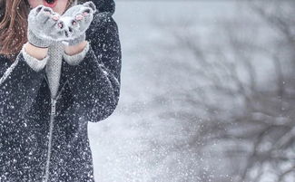 小學(xué)作文冬天的校園