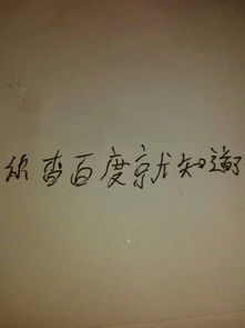 關(guān)于校園的作文字數(shù)500字左右