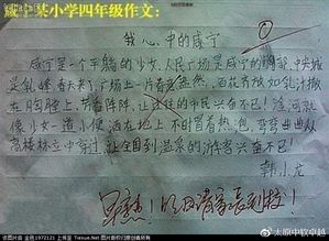 雨后的校園小學生短作文