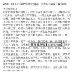 西臺小學校園導游詞作文500