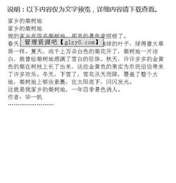 校園梨樹作文五百字