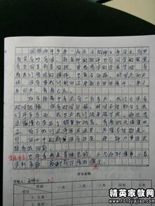 中考與校園有關的作文