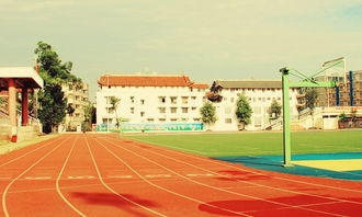 校園風(fēng)景線作文評(píng)改