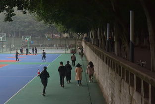 作文,結(jié)尾,運動,校園