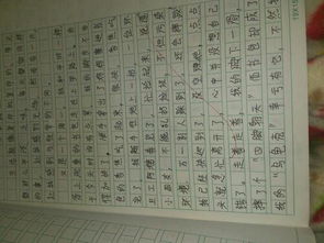 難忘的校園燒烤作文400個字