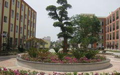 作文,花壇,校園