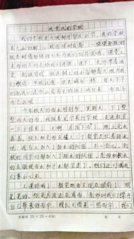 我們的中心小學校園作文