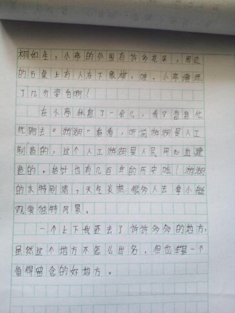 秋天校園風景作文400字左右