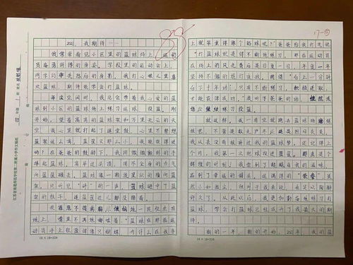 四年級優(yōu)秀作文校園的一角,四年級優(yōu)秀作文校園趣事四百字,四年級優(yōu)秀作文校園的一角四百字