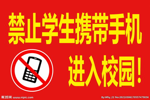 嚴(yán)禁學(xué)生帶零食進校園的作文