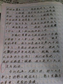 以足球進校園為話題的作文