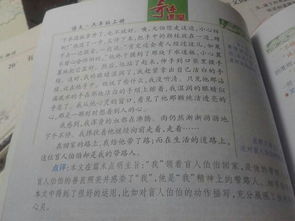 以新的校園新的環(huán)境為題寫(xiě)一篇作文300字