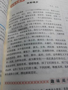 作文,校園,活動