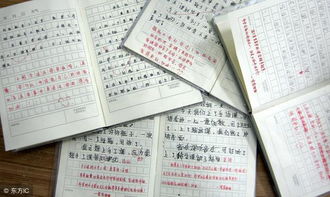 不一樣的校園開頭和結尾作文怎么寫