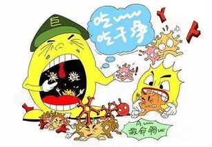 消融,術(shù)后,注意事項,飲食