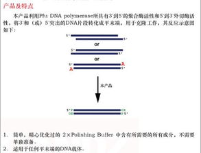 trizol提取rna的注意事項(xiàng),trizol法提取rna注意事項(xiàng),trizol提rna