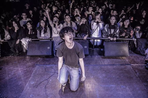 注意事項(xiàng),搖滾,現(xiàn)場