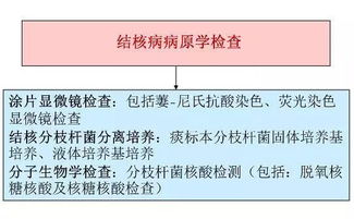 小孩結(jié)核菌素試驗注意事項