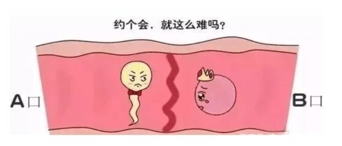 注意事項(xiàng)
