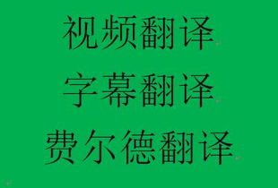 翻譯的注意事項(xiàng),文言文翻譯注意事項(xiàng),翻譯散文的注意事項(xiàng)
