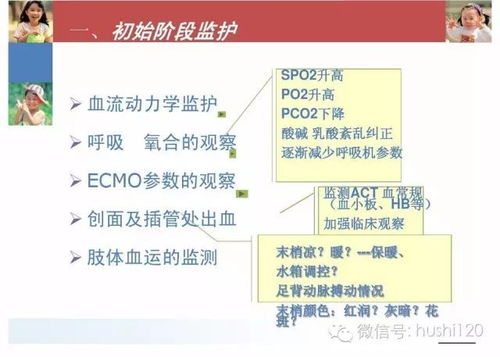 ecmo重要護(hù)理注意事項