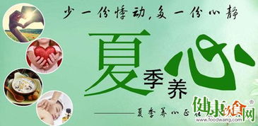 夏天養(yǎng)兔子注意事項,夏天養(yǎng)魚注意事項,夏天跑步注意事項