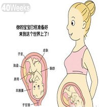40天孕婦注意事項