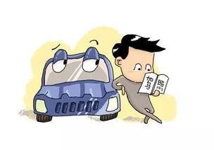 駕校學(xué)員培訓(xùn)注意事項(xiàng)