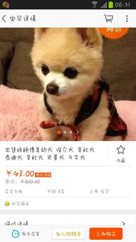 網(wǎng)上買狗的注意事項,空運流程以及注意事項,骨灰空運注意事項