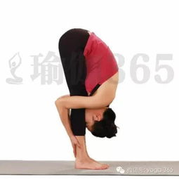 站立,注意事項,前屈式