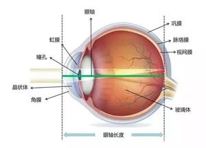 a超測眼軸注意事項(xiàng)