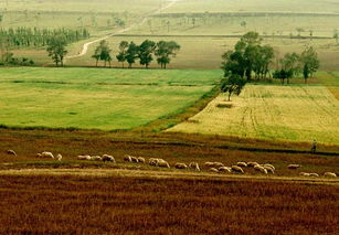 秋旋耕地地注意事項(xiàng)