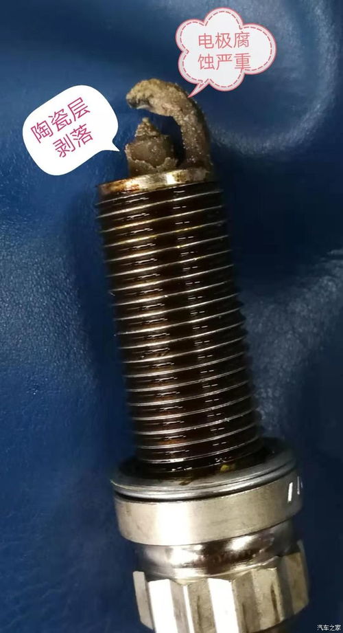 火花塞,注意事項,安裝,ngk