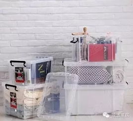 養(yǎng)魚,收納,注意事項