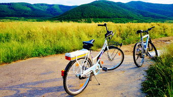 跑步自行車的注意事項(xiàng)