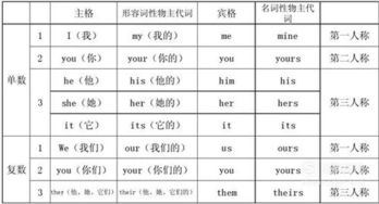 英語(yǔ)中代詞注意事項(xiàng)