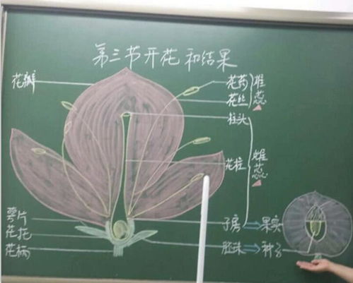 簡(jiǎn)述教師應(yīng)用板書的注意事項(xiàng)