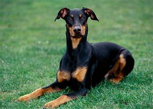 注意事項,生產(chǎn)