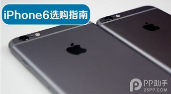 代購流程和注意事項,以租代購注意事項,代購注意事項文字說明